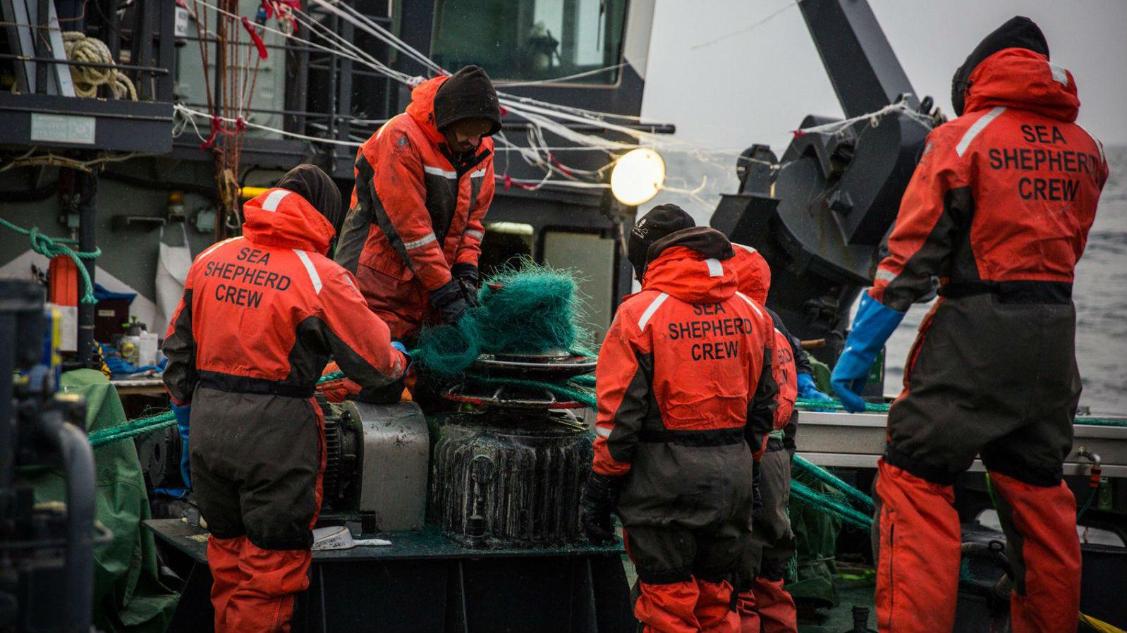 Sea Shepherd Intercepts Fishers in Australia
